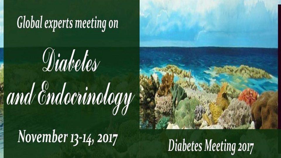 Diabetes-Meeting-2017_MI-Banner-2
